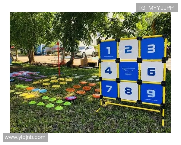 武汉飞盘队的成功之道：探索团队运营与发展背后的秘密